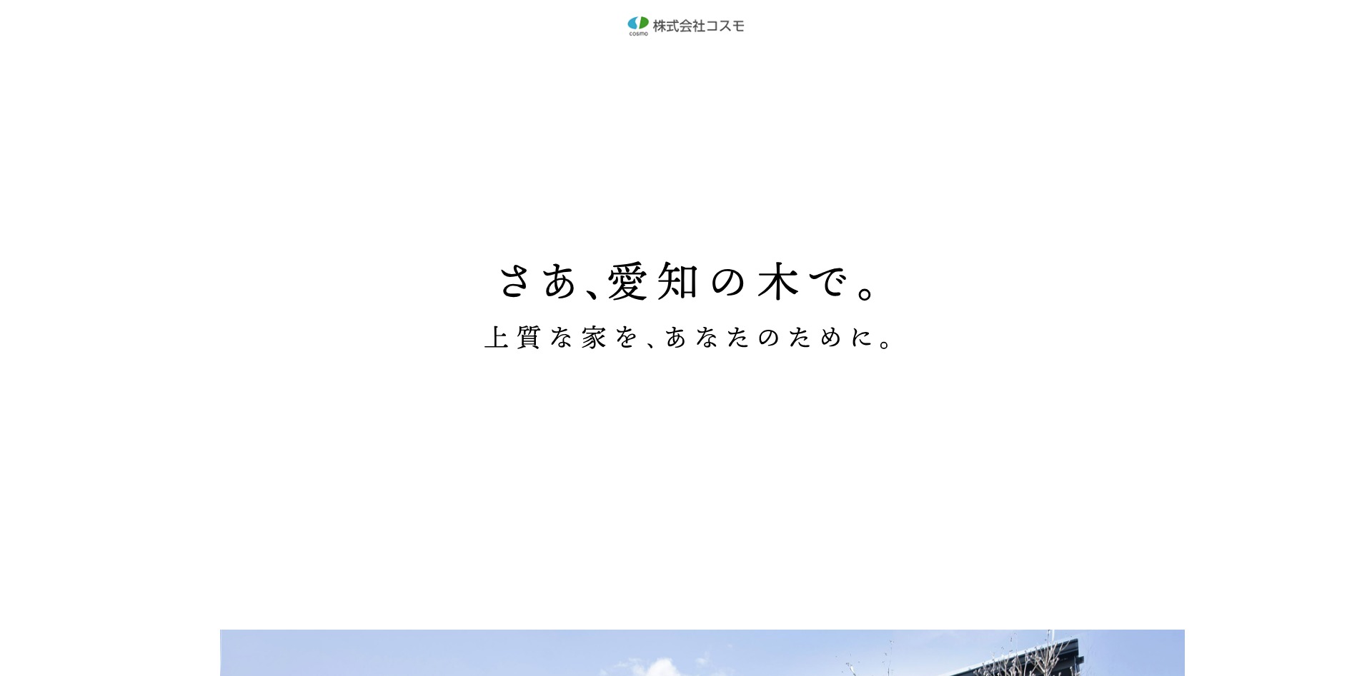 コスモ_HPキャプチャ